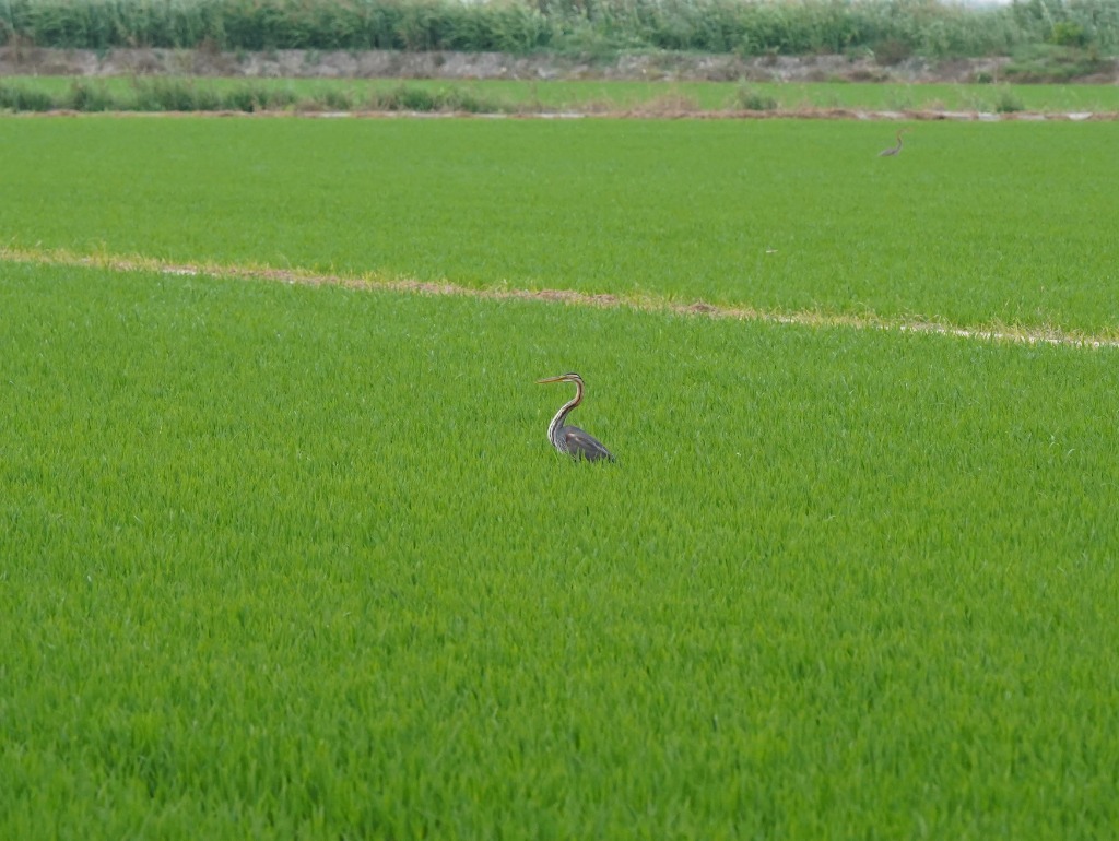 Conservación - Paisaje