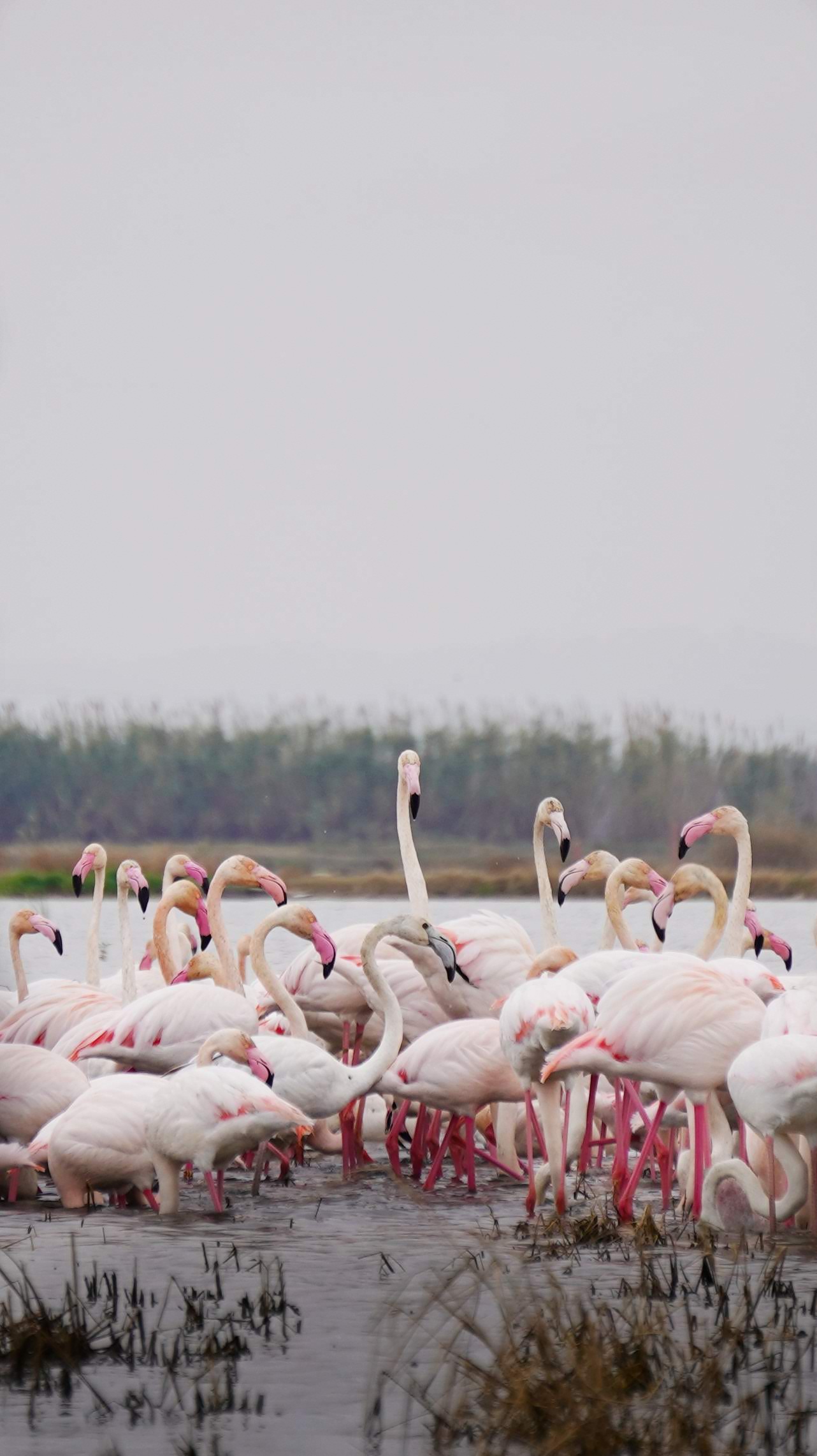 Guía experto en naturaleza mediterránea